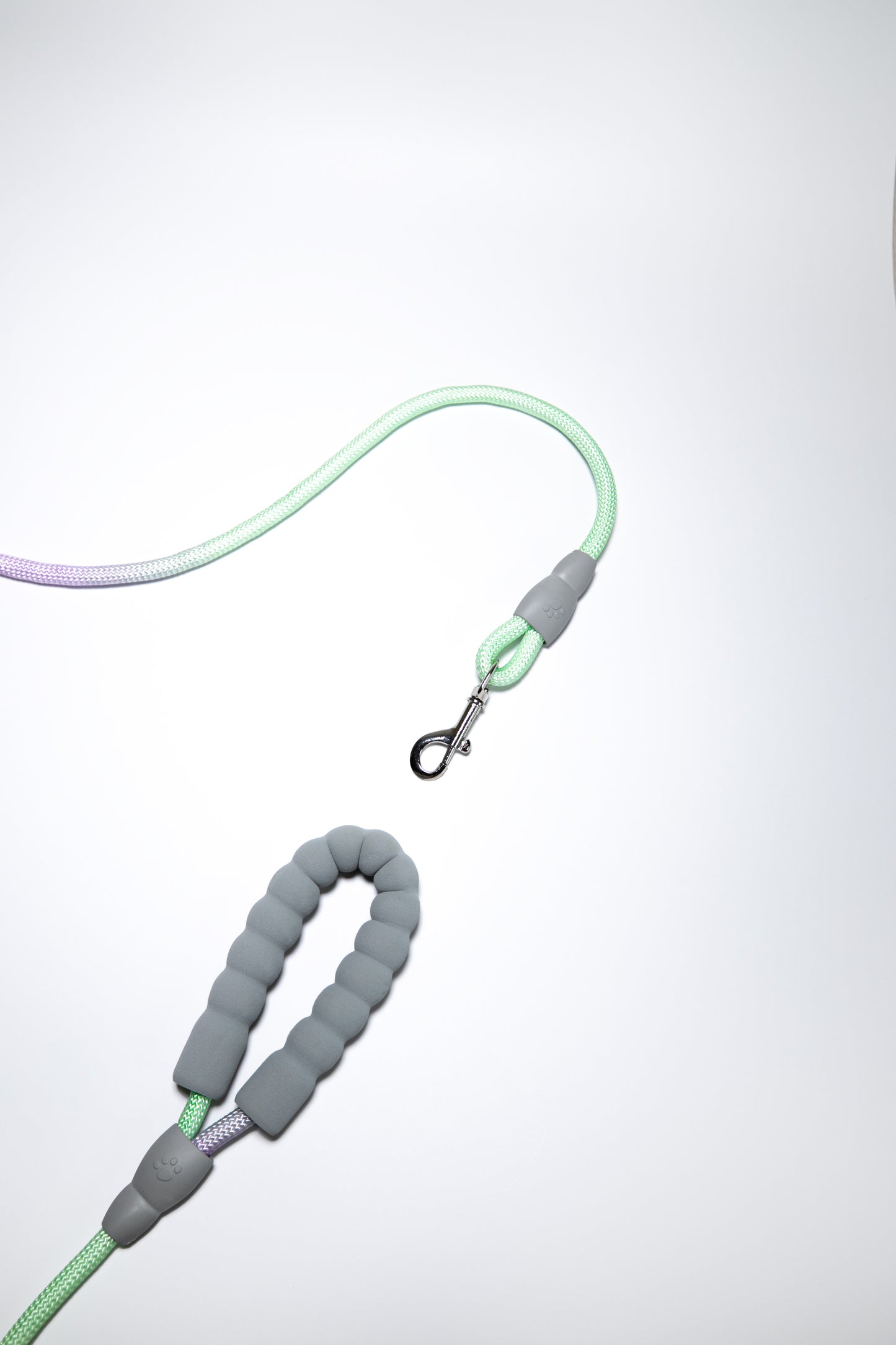 Gradient Color Leash