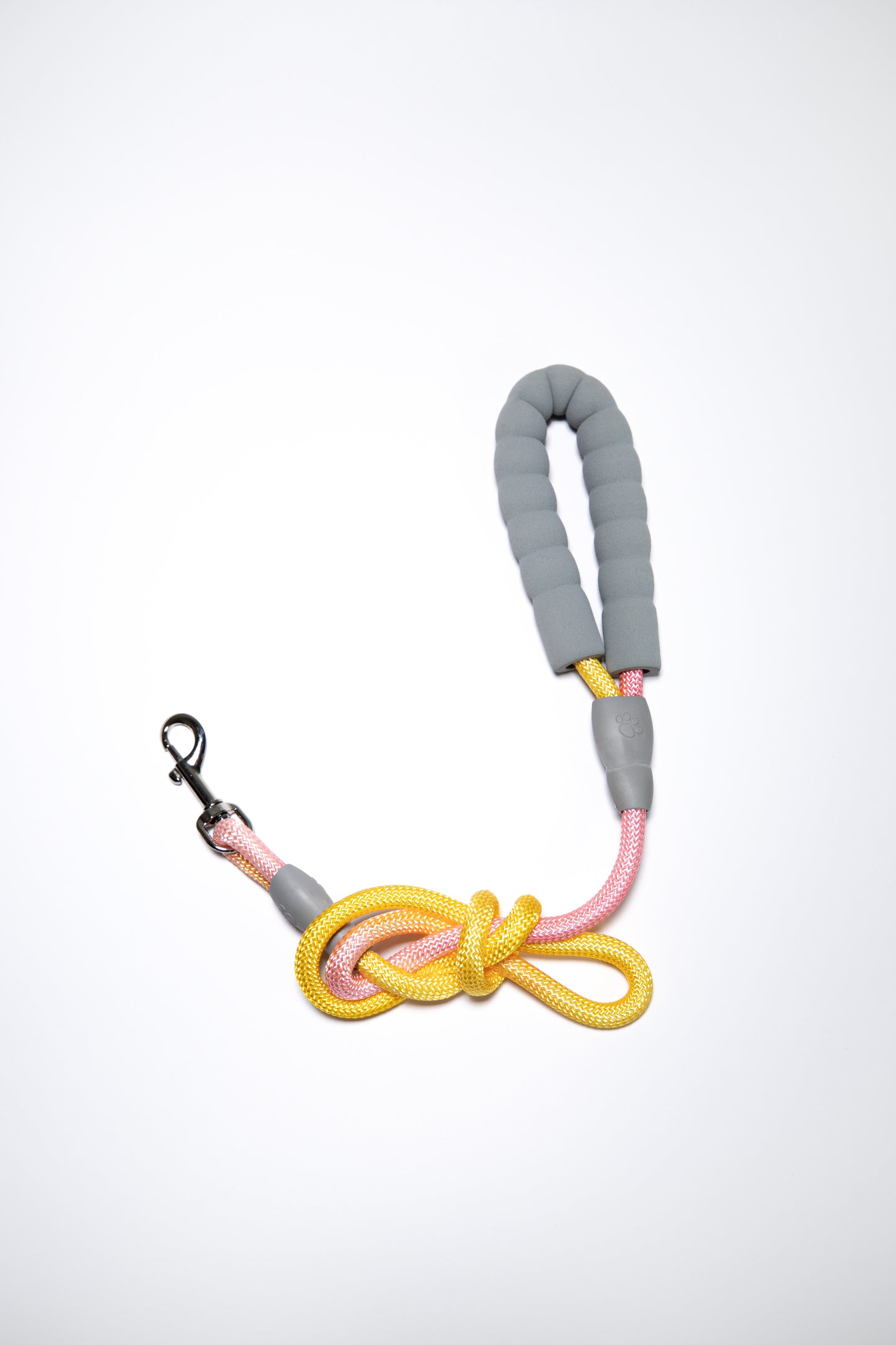 Gradient Color Leash