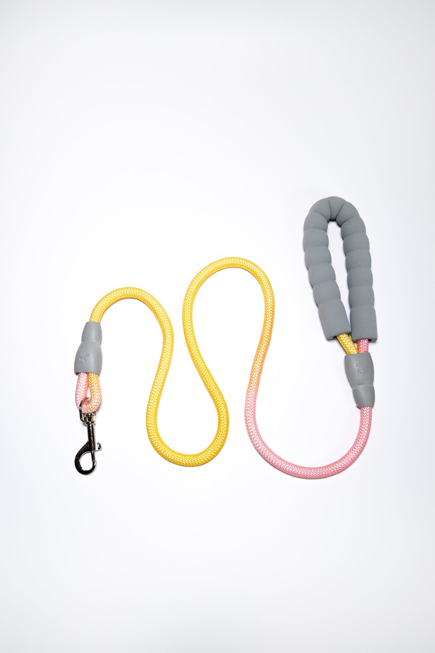 Gradient Color Leash