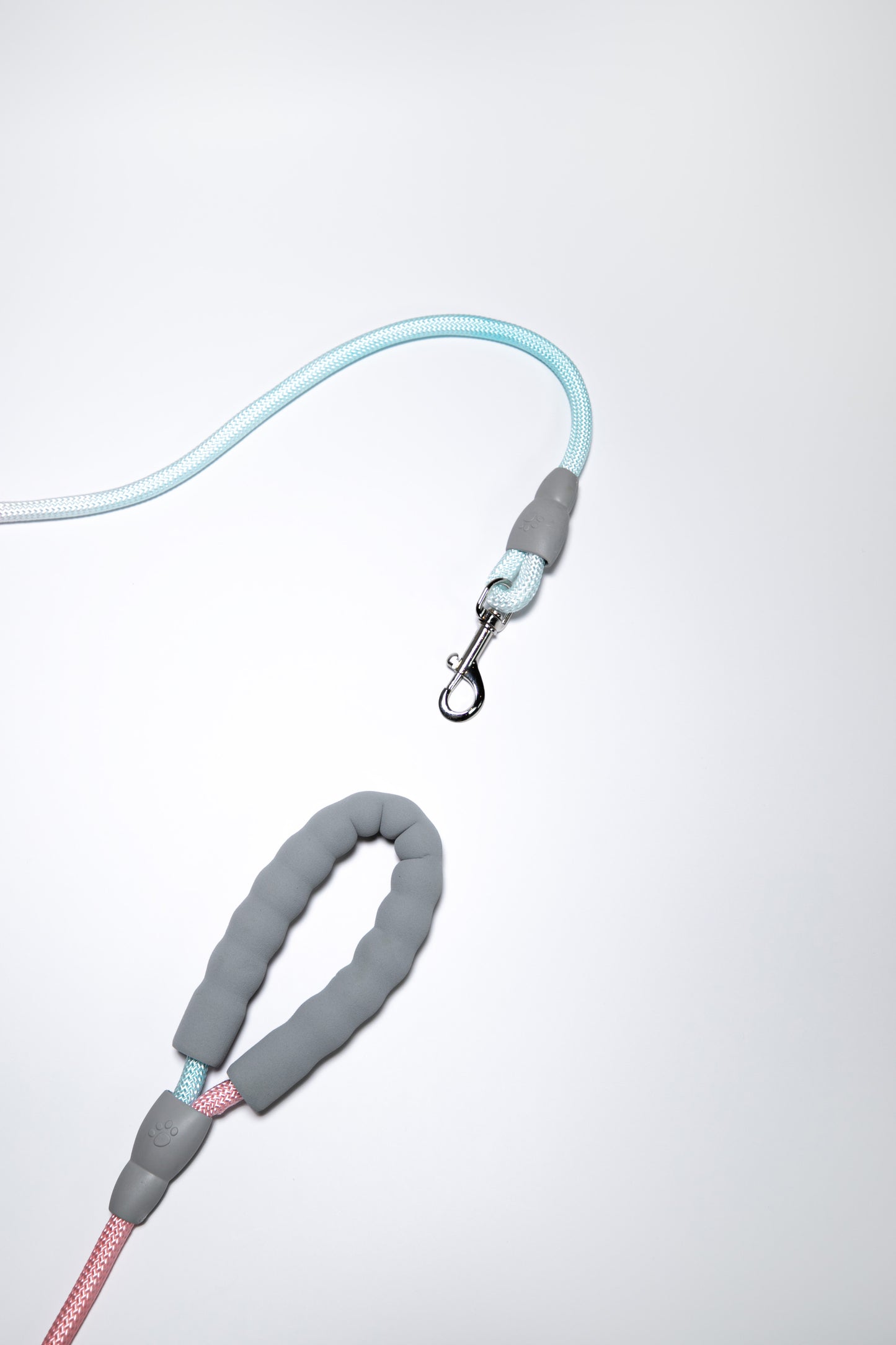 Gradient Color Leash