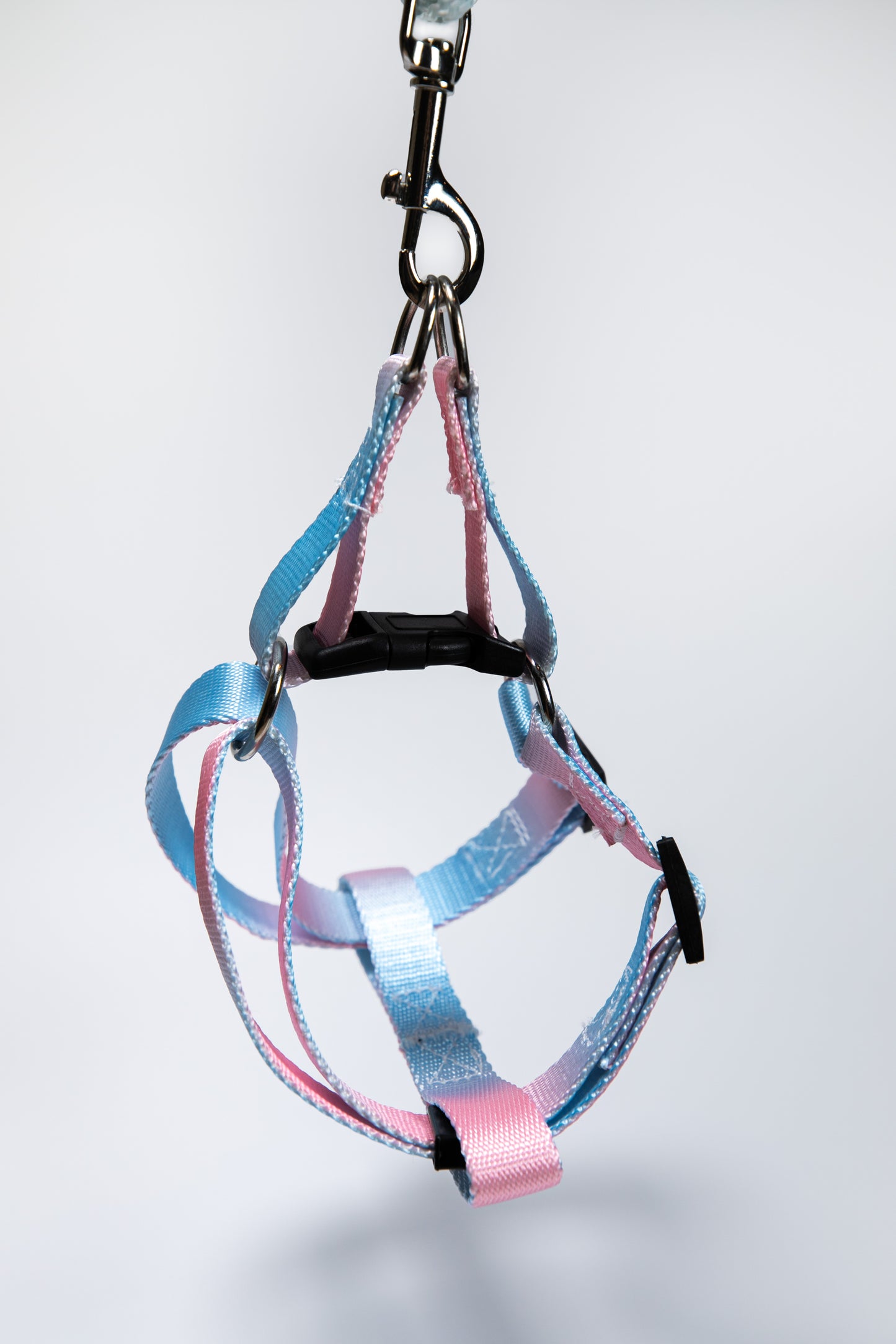 Gradient Color Walk Kit Leash and Harness