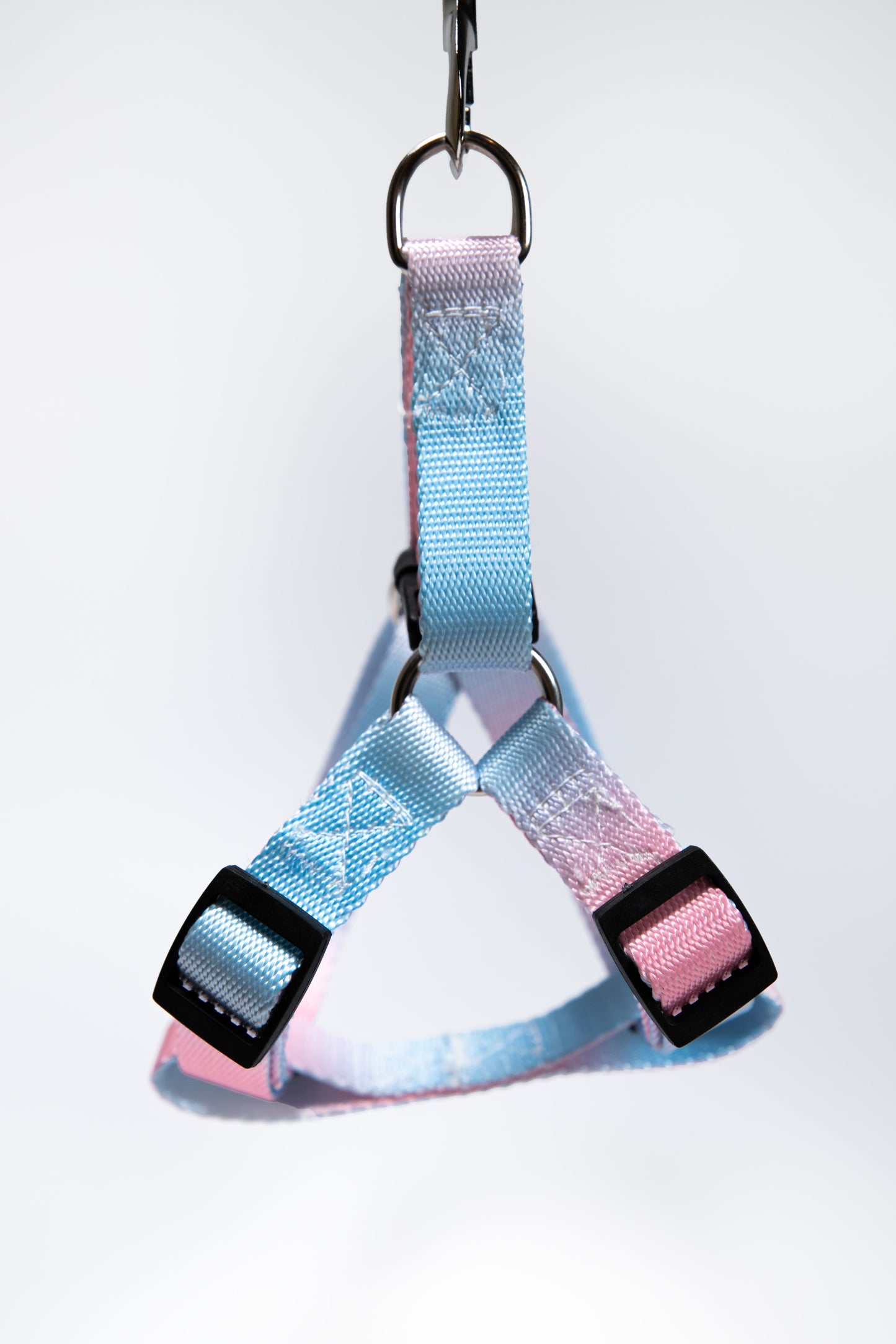 Gradient Color Walk Kit Leash and Harness