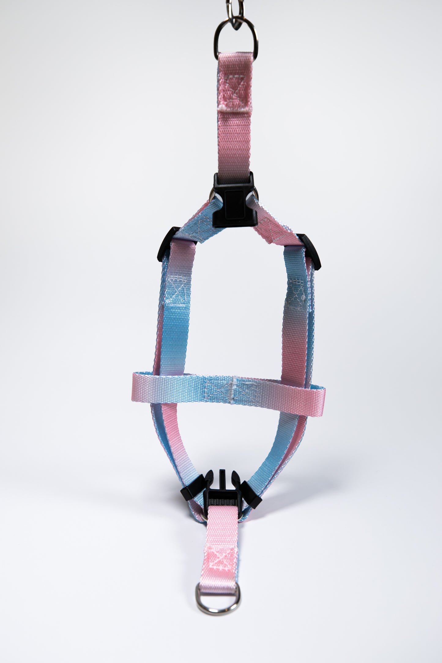 Gradient Color Walk Kit Leash and Harness