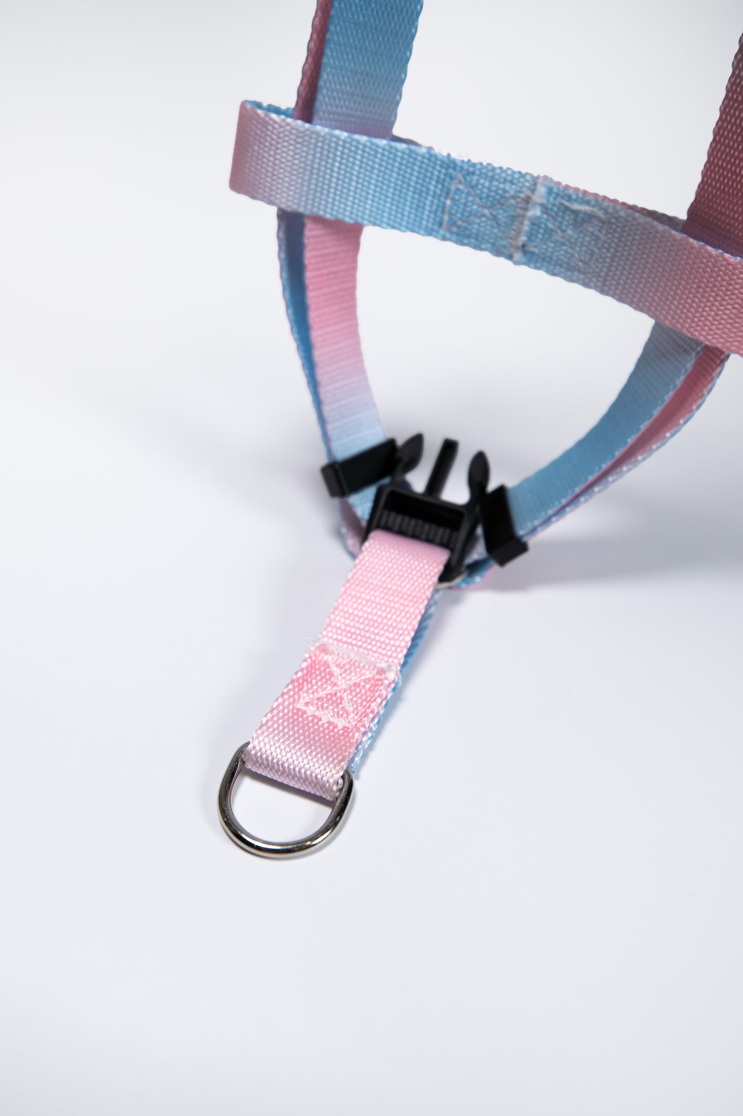 Gradient Color Walk Kit Leash and Harness