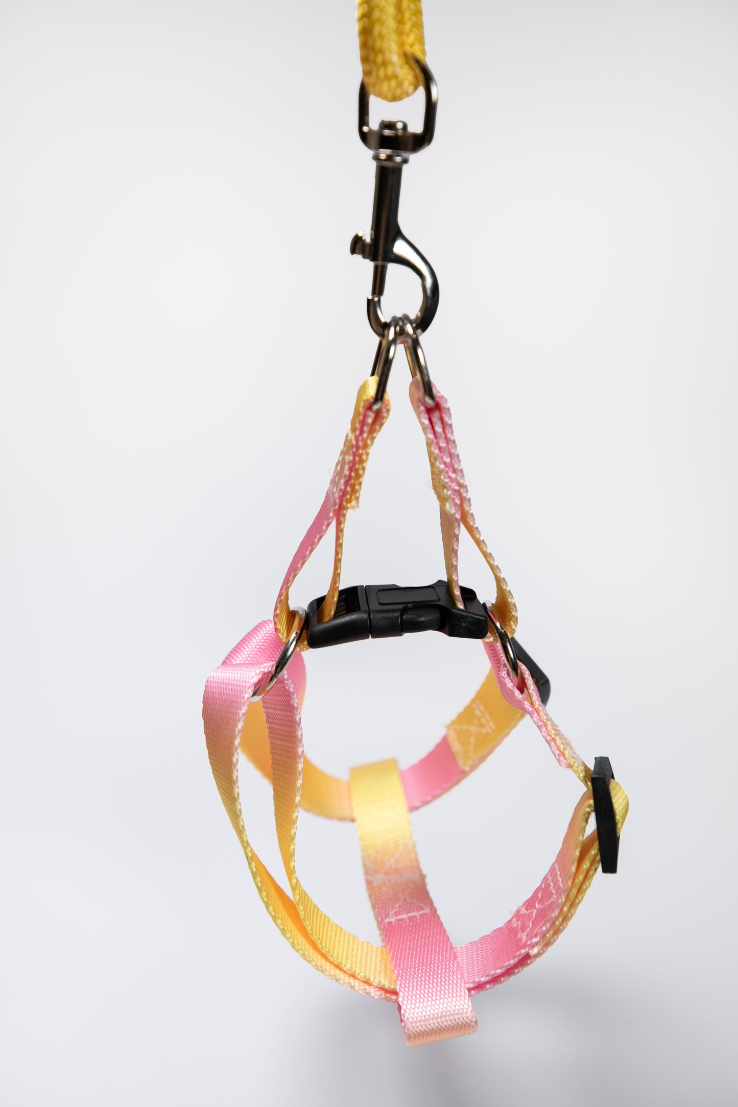 Gradient Color Walk Kit Leash and Harness