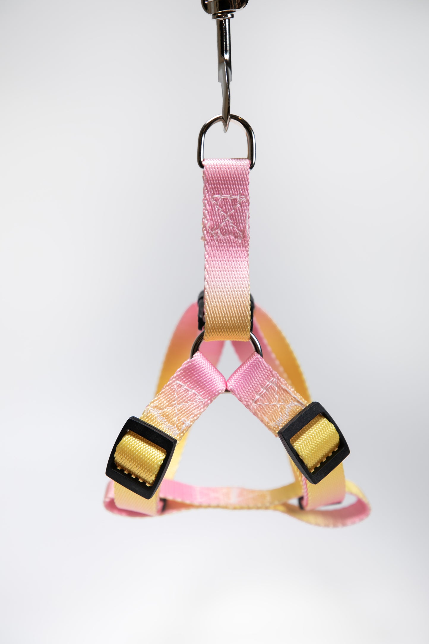 Gradient Color Walk Kit Leash and Harness