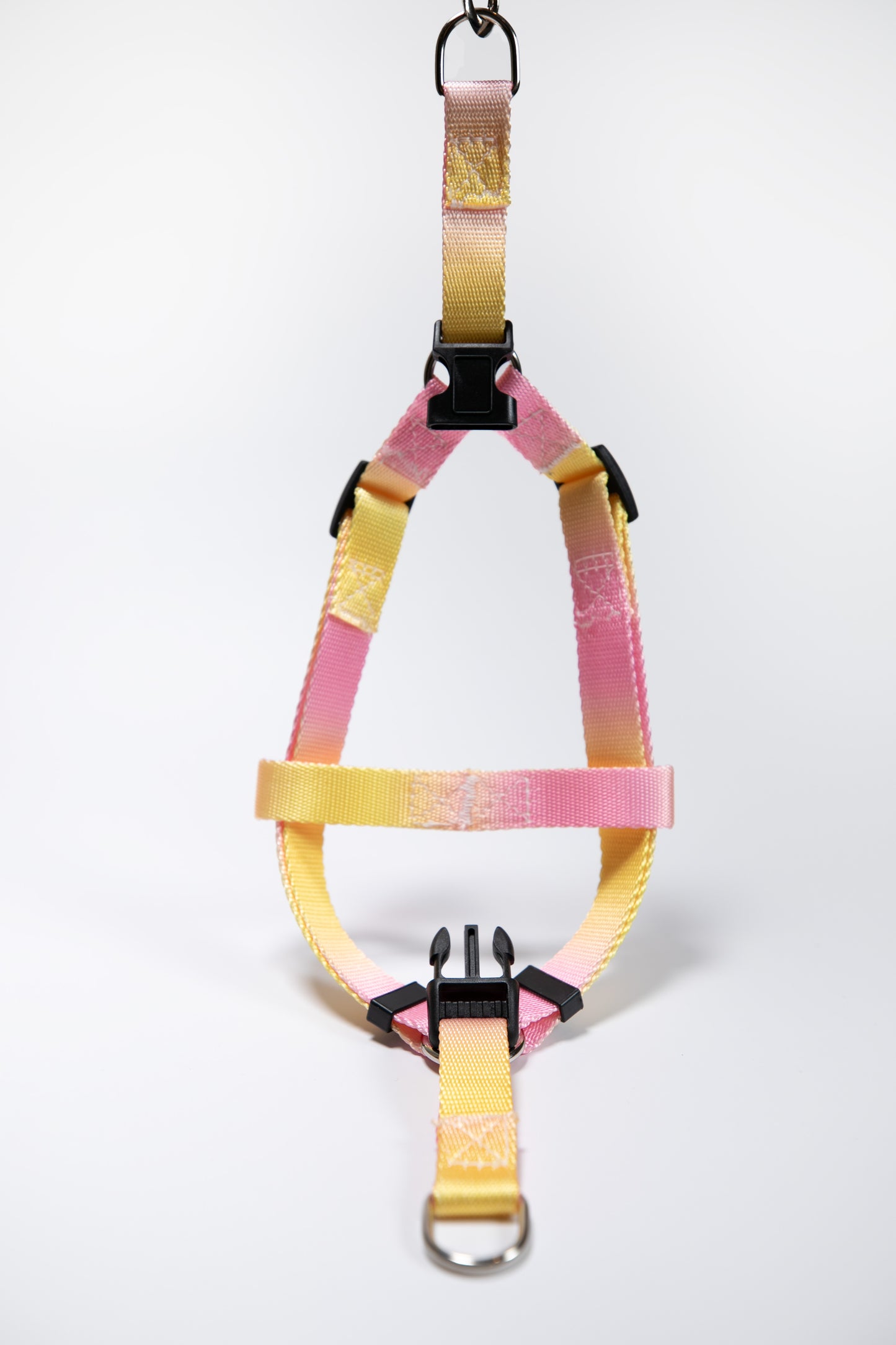 Gradient Color Walk Kit Leash and Harness