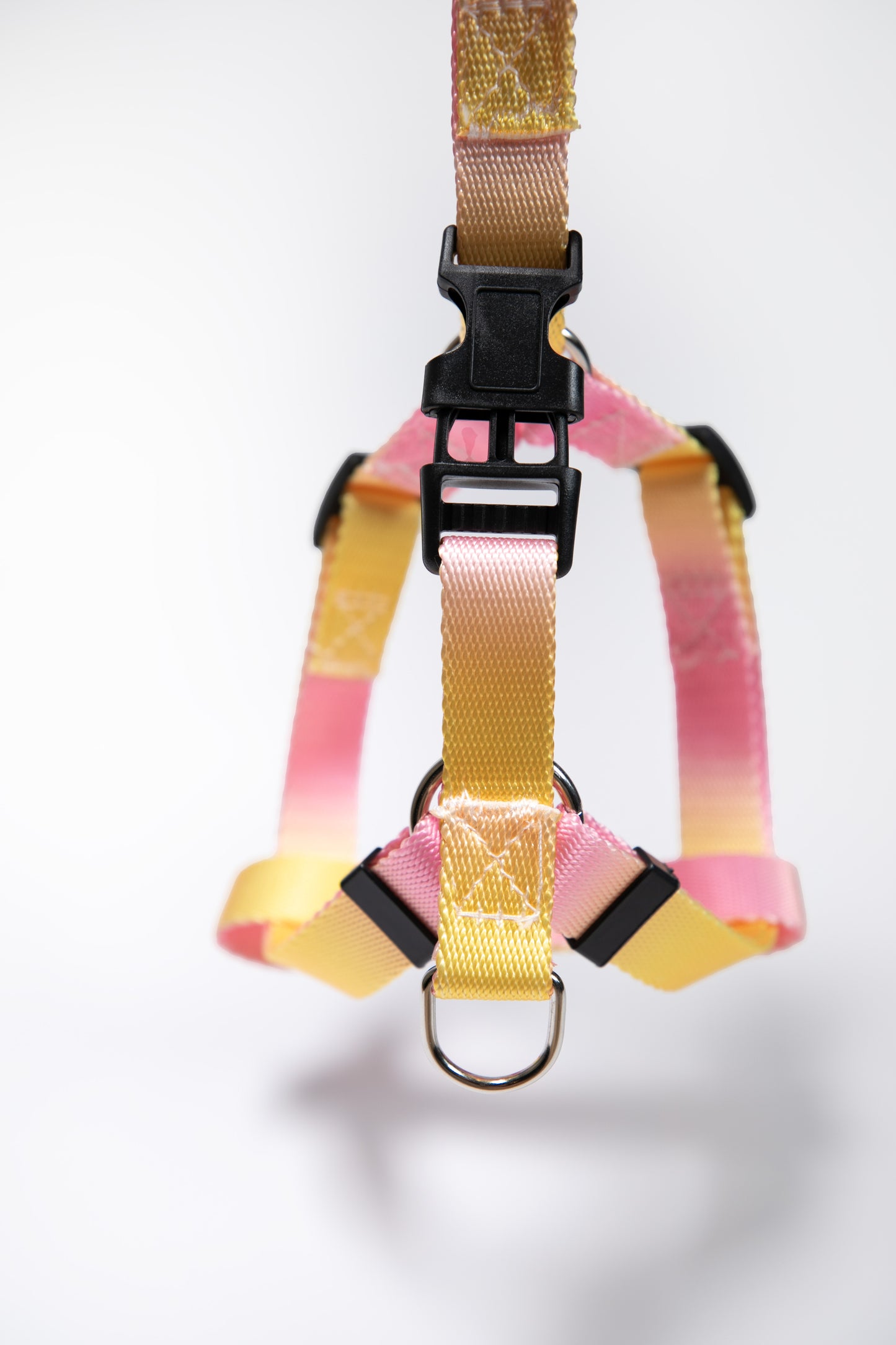 Gradient Color Walk Kit Leash and Harness