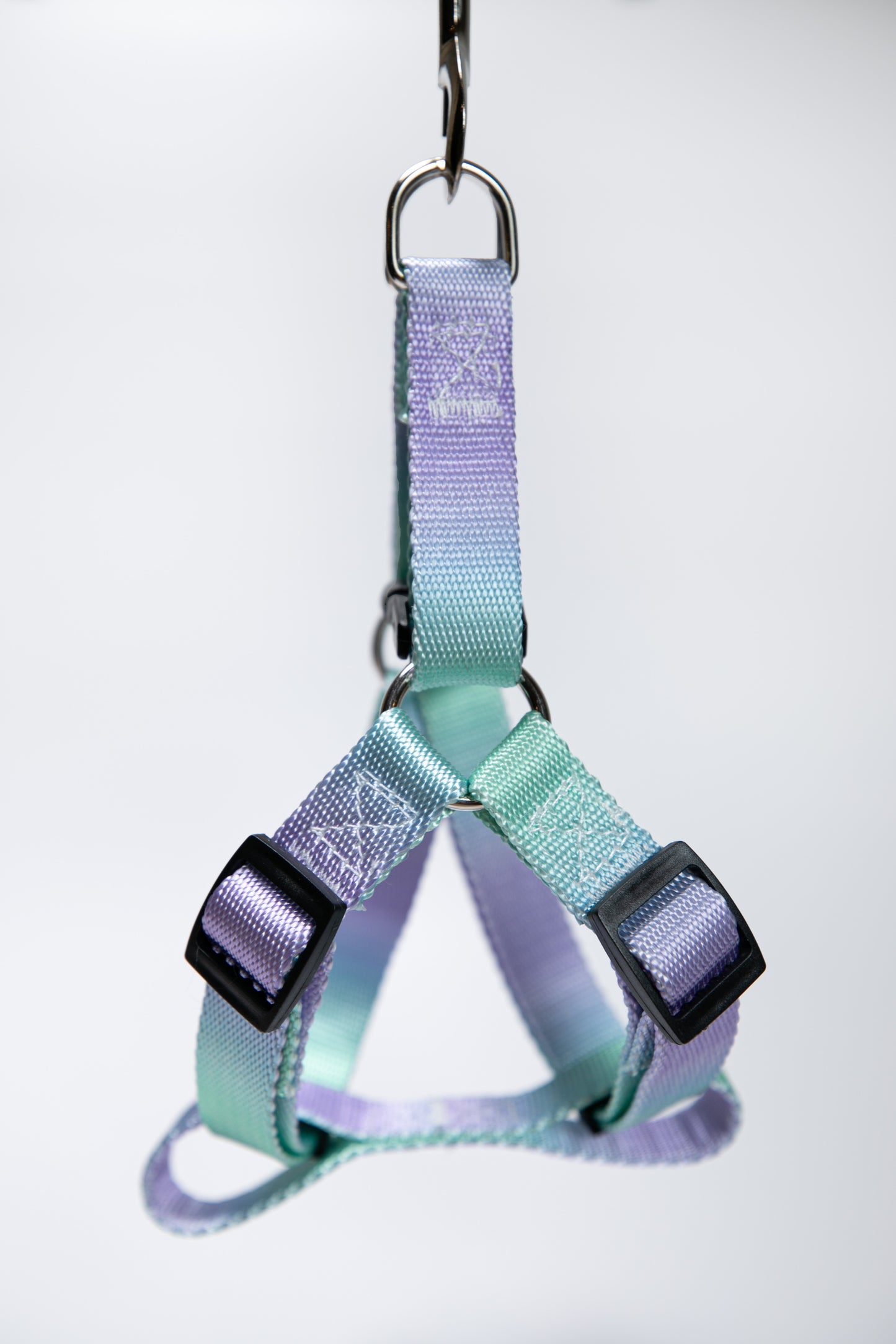 Gradient Color Walk Kit Leash and Harness