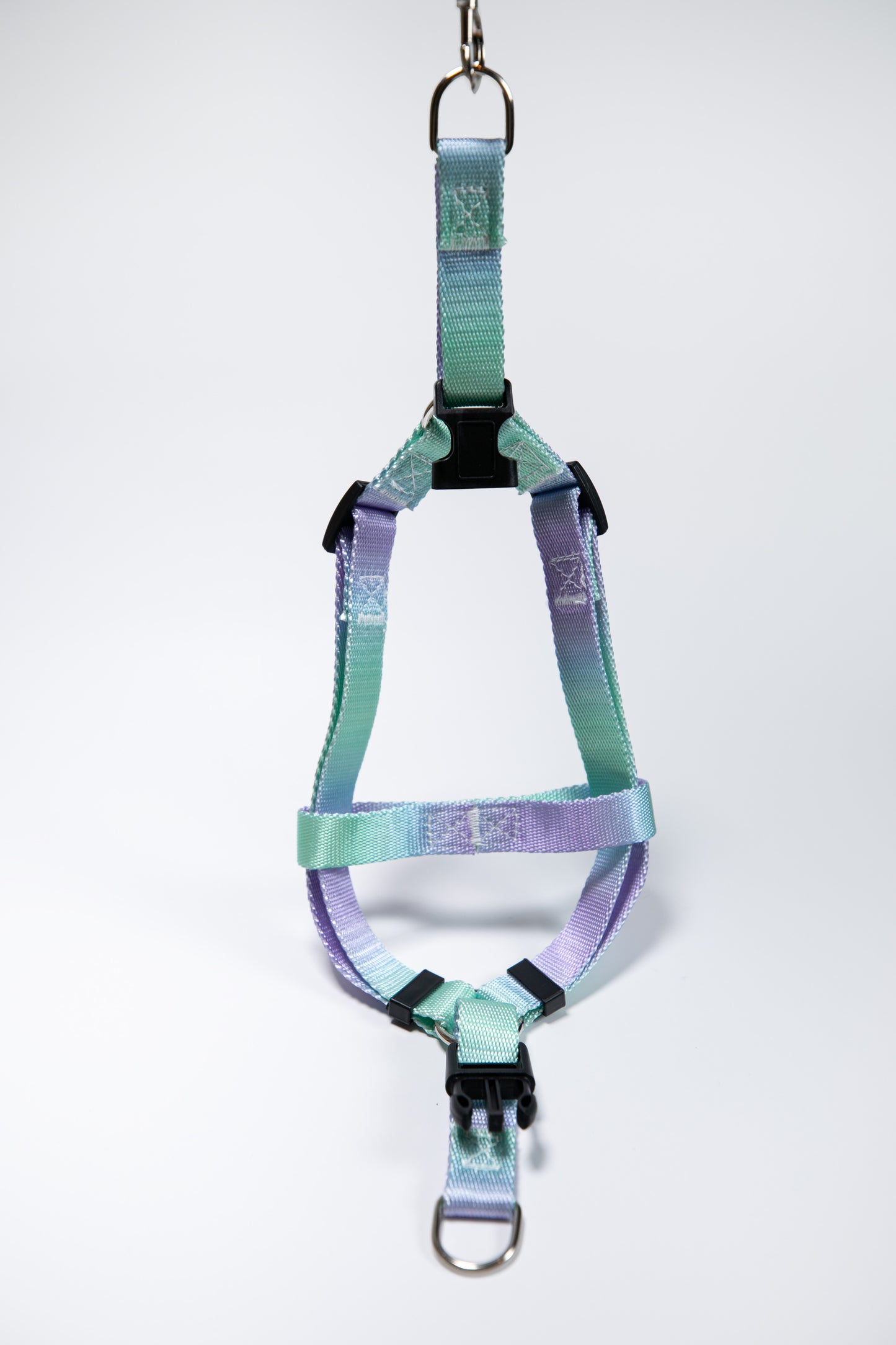 Gradient Color Walk Kit Leash and Harness