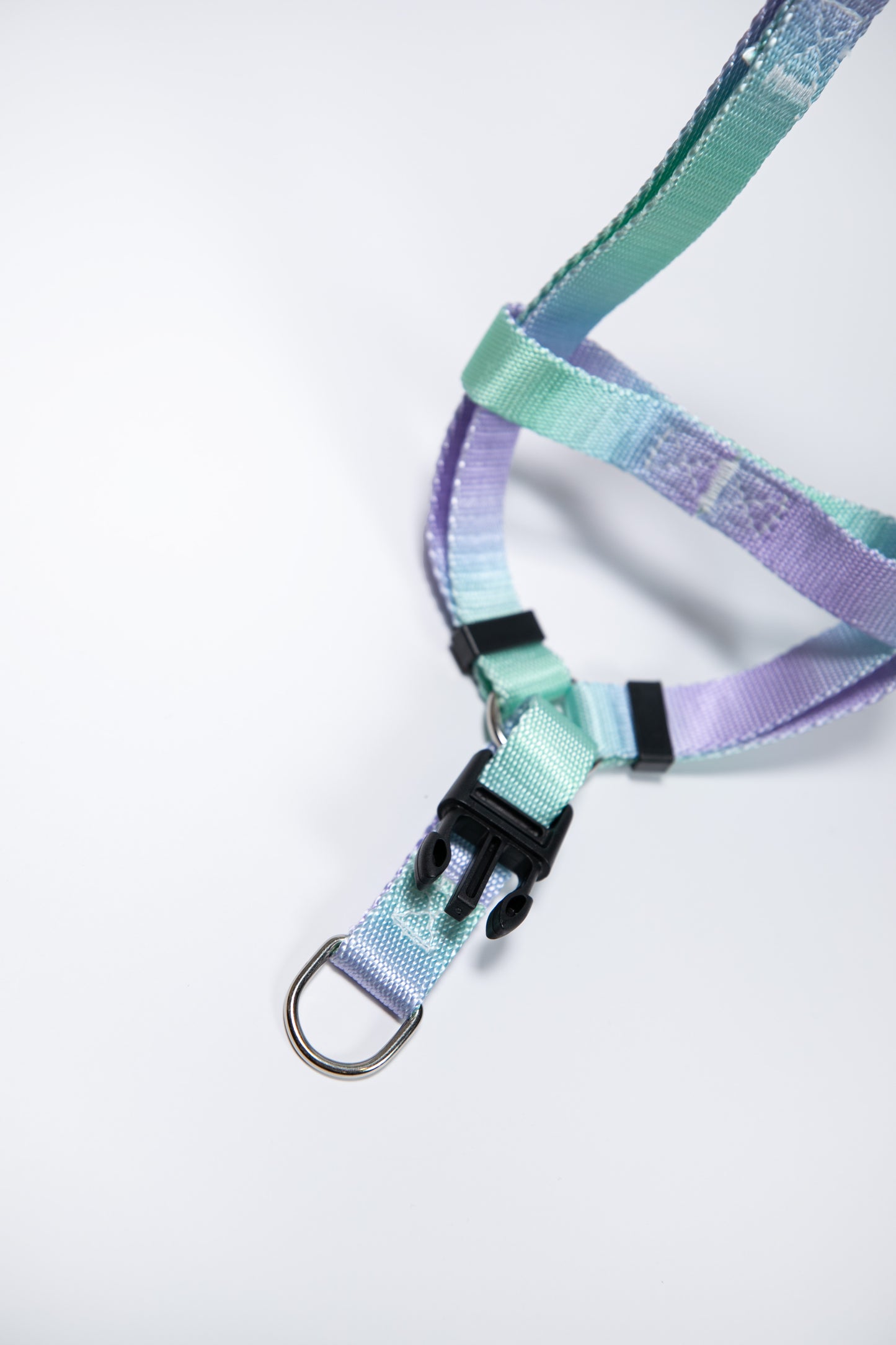 Gradient Color Walk Kit Leash and Harness