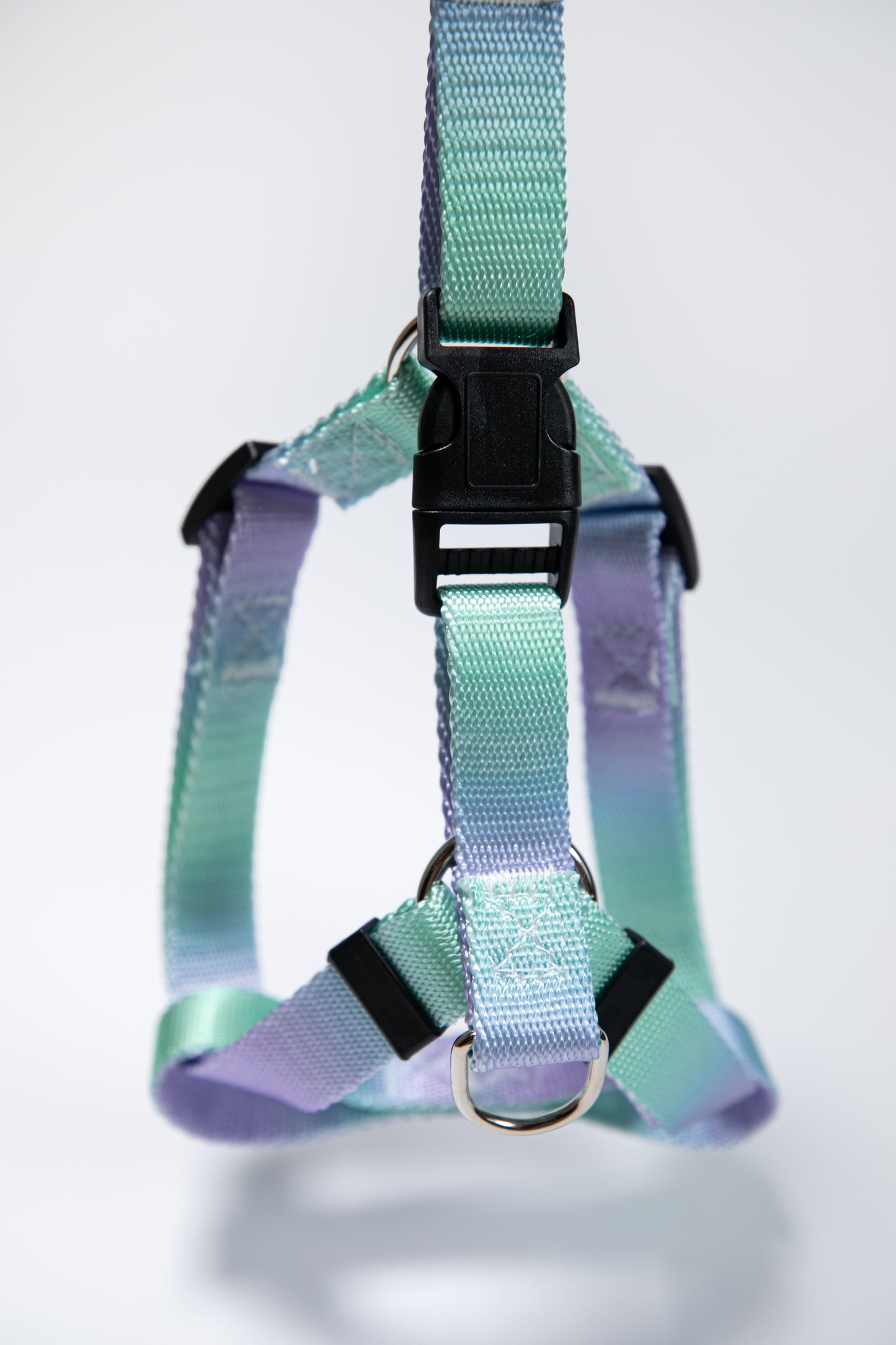 Gradient Color Walk Kit Leash and Harness